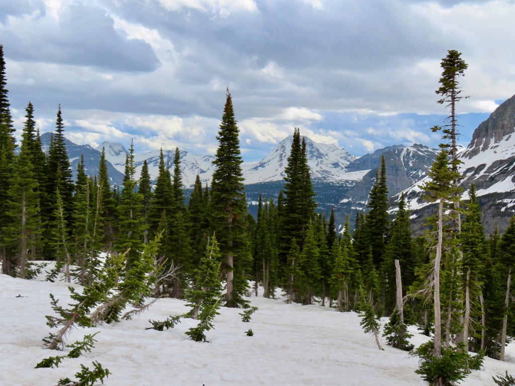 June in Glacier National&nbsp;Park