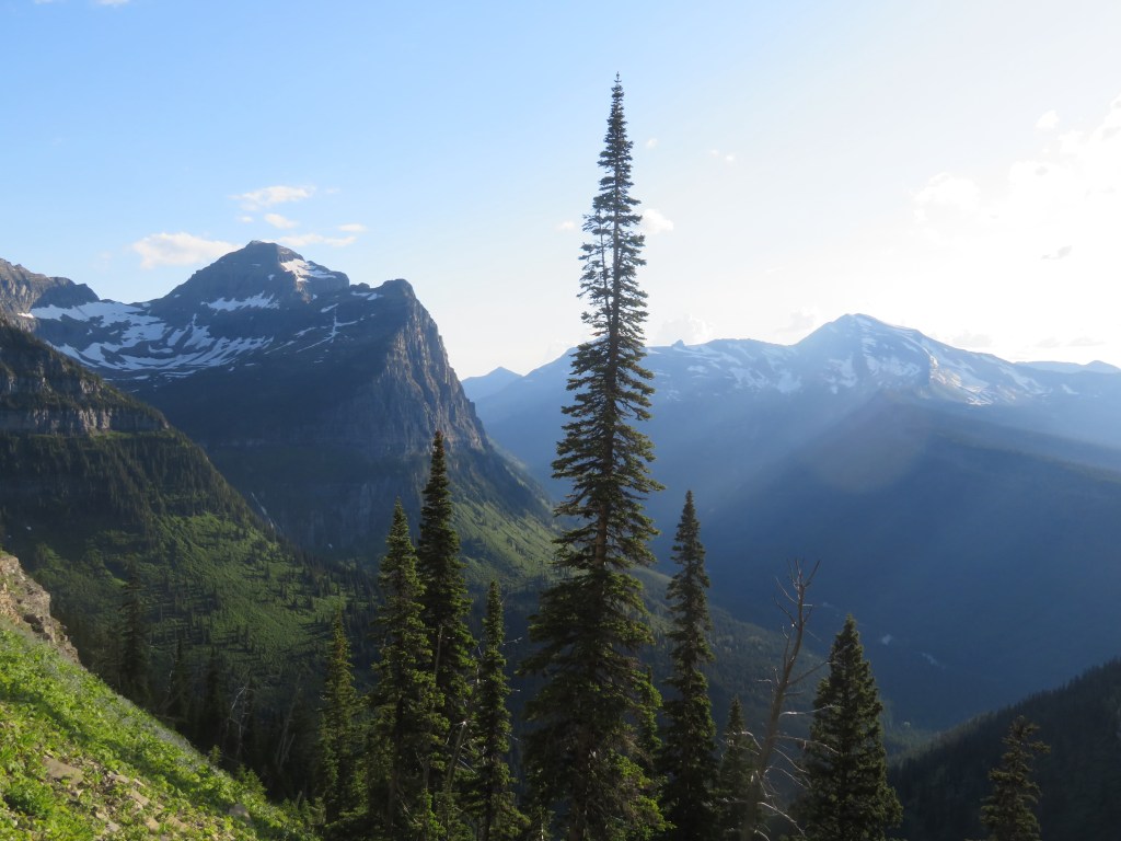 Navigating the Most Popular Trails in Glacier National&nbsp;Park