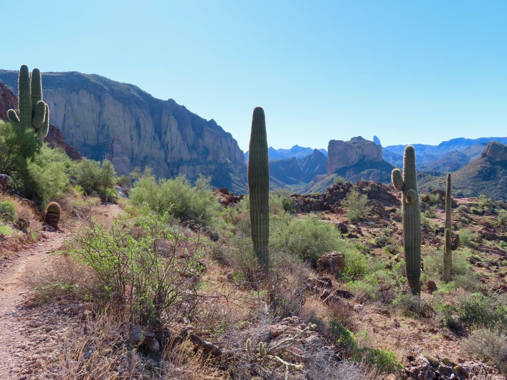 The Best Phoenix Hikes (from a&nbsp;local)