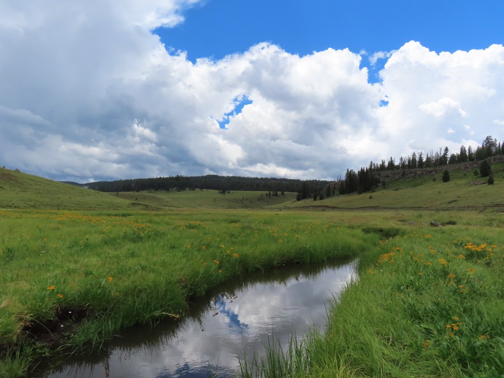 A Weekend in the White Mountains of&nbsp;Arizona
