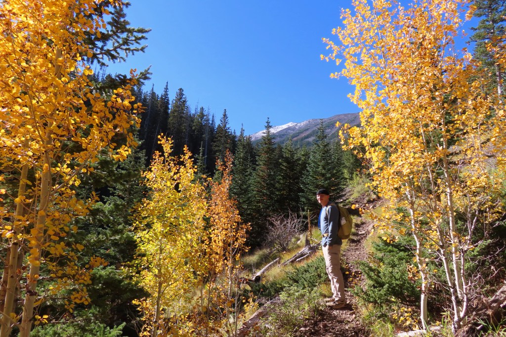 Where to See Fall Colors in&nbsp;Arizona