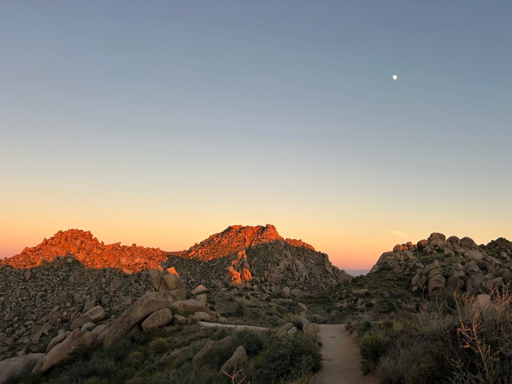 The Best Phoenix Hikes for&nbsp;Visitors